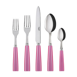 A photo of Icone Pink 5pc Place Setting