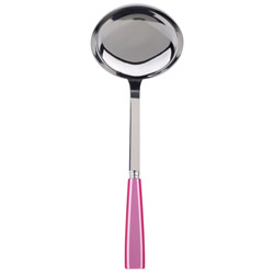 A photo of Icone Pink Ladle