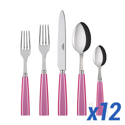 A photo of Icone Pink 60pc Service for 12