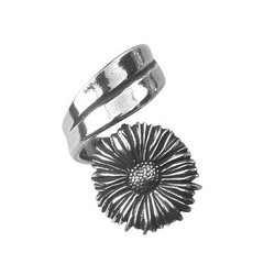 A photo of Flower of the Month Ring, September/Aster