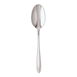 A photo of Dream Serving Spoon