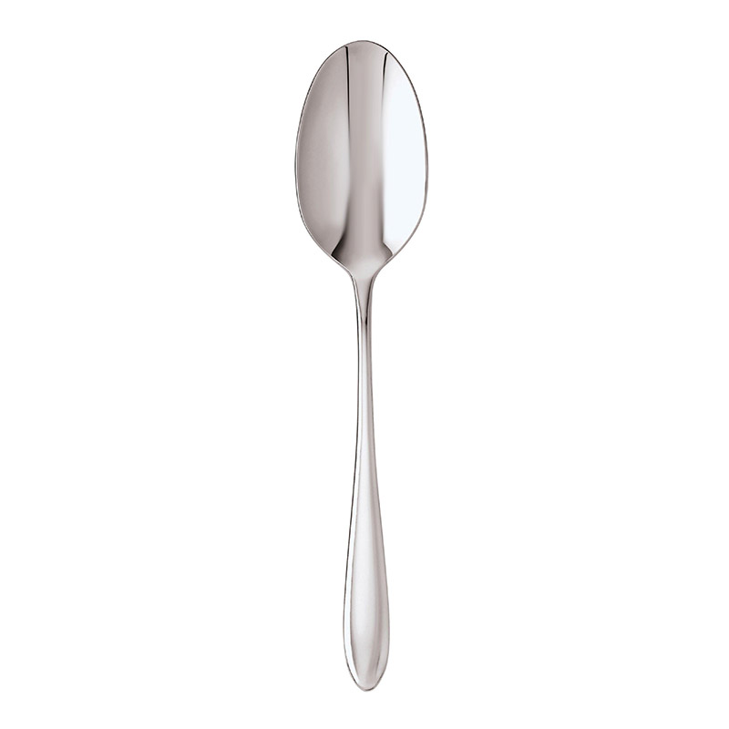 Dream Serving Spoon