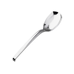 Living Serving Spoon, Gift Boxed