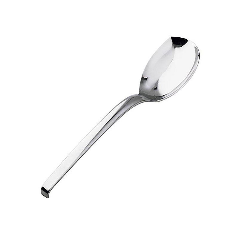 Living Serving Spoon, Gift Boxed