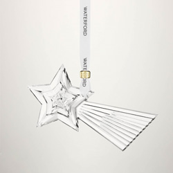 2026 Annual Snowstar