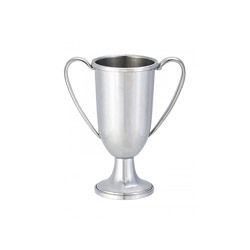A photo of Junior Loving Cup Trophy with Bright Finish