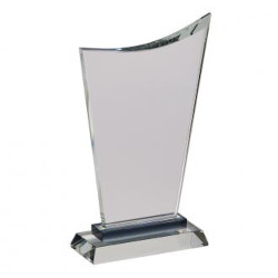 A photo of Wave Trophy w/Black Highlight, 8.5in.