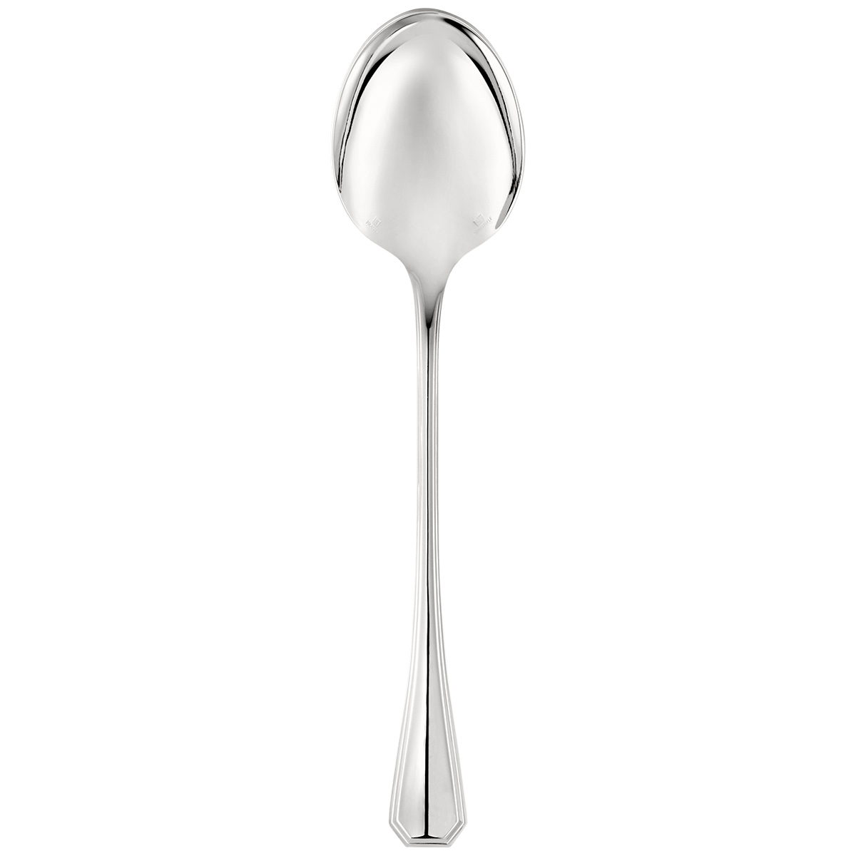 Serving Spoon, Large