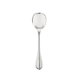 Ice Cream Spoon