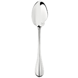 Gourmet Sauce Spoon