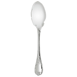 Gourmet Sauce Spoon
