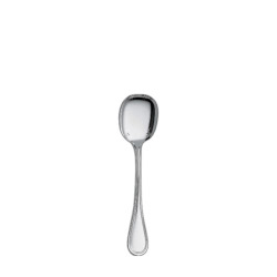 Ice Cream Spoon