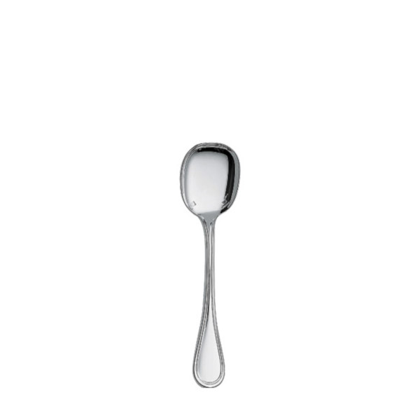 Ice Cream Spoon