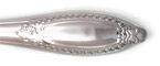 Ricci Donatello Stainless Flatware