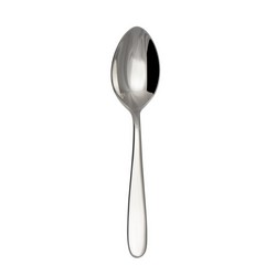 Grand City Serving Spoon
