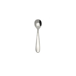 Grand City Salt/Spices Spoon