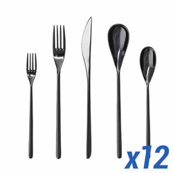 A photo of Dragonfly Black 60pc Service for 12, With Stamp