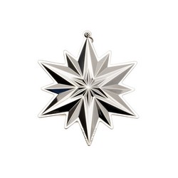 A photo of 2019 Annual Snowflake, 50th Edition