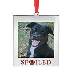 Gifts for Pet Lovers