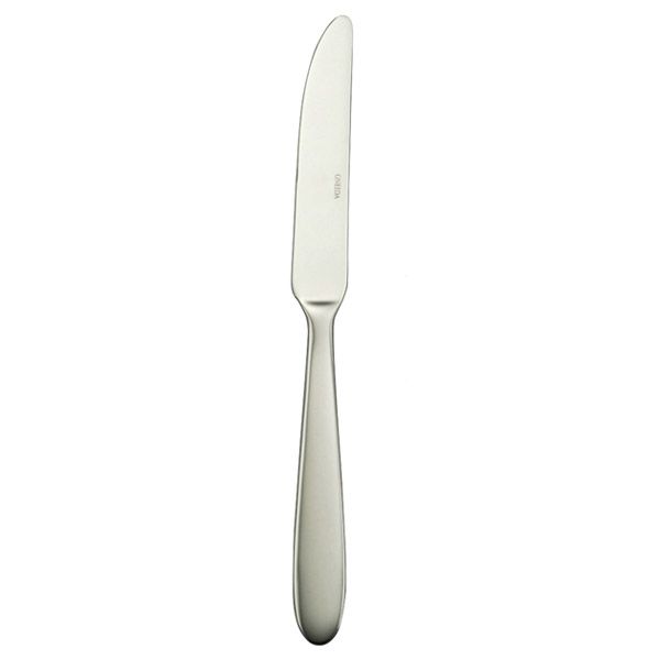 Oneida Mooncrest Dinner Knife