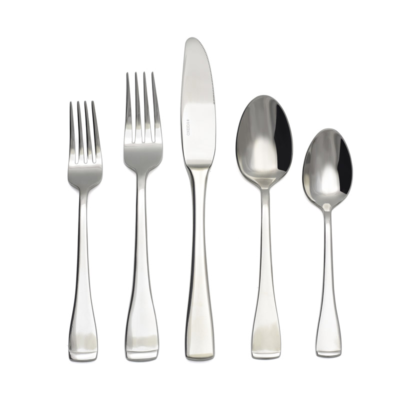 Surge 5pc Place Setting