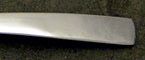 Ginkgo President Stainless Flatware
