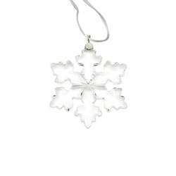 A photo of Little Snowflake