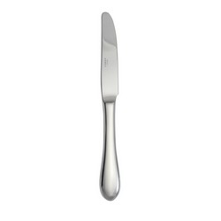 A photo of Boston Antique Dinner Knife