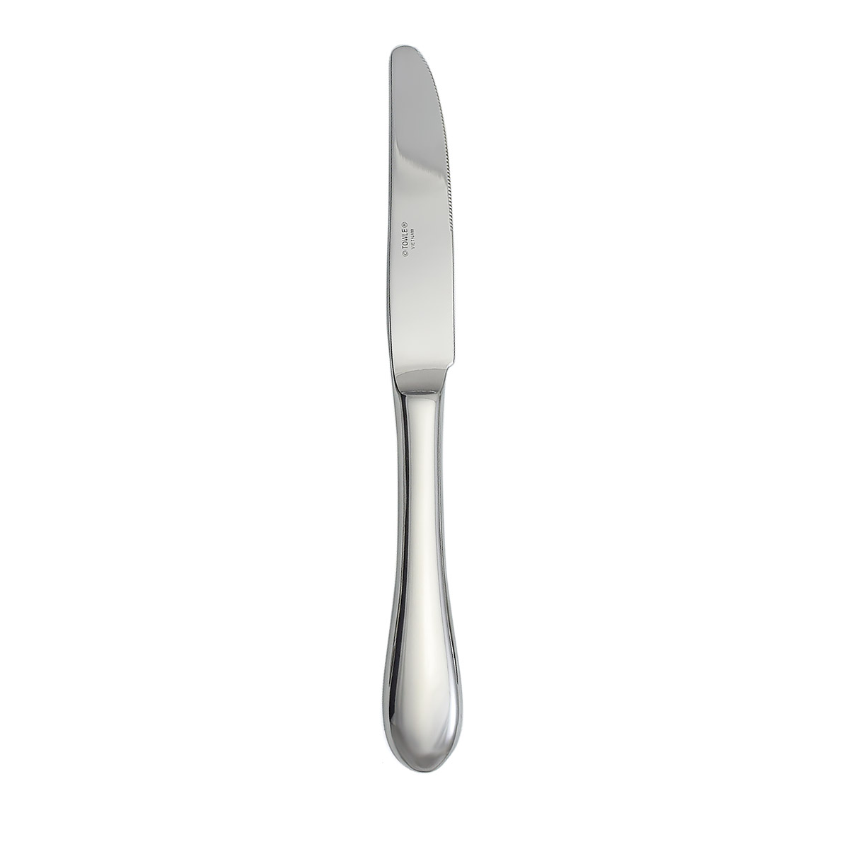 Boston Antique Dinner Knife
