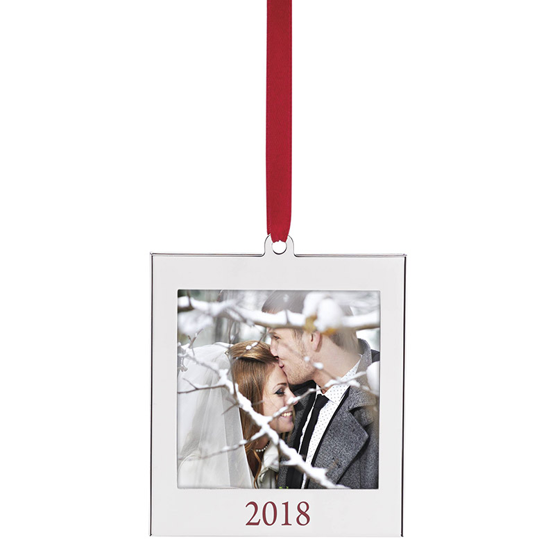 2018 picture frame ornament